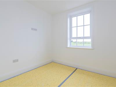 Picture 38